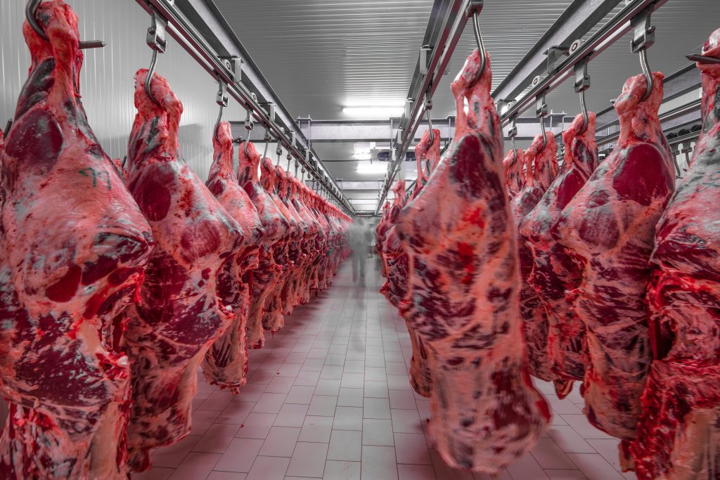Paraguay: La Carne como Pilar Económico y su Crecimiento en el Mercado Internacional